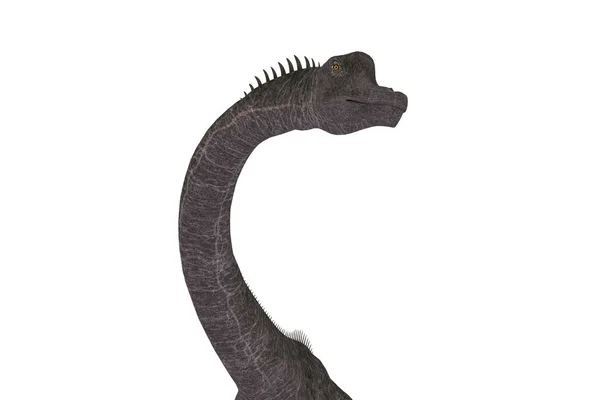 Dark Brachiosaurus Set Angles Illustration — Stock Photo, Image