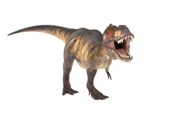 Big Tyrannosaurus Set Angles Illustration — Stock Photo, Image