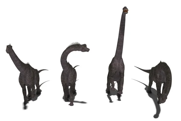 Grupa Zestaw Brachiosaurs Ciemne Kąty Ilustracja — Zdjęcie stockowe