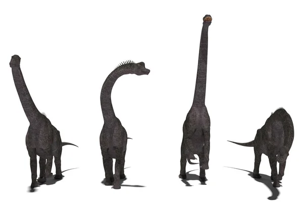 Grupa Zestaw Brachiosaurs Ciemne Kąty Ilustracja — Zdjęcie stockowe