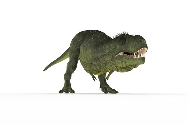 Stor Tyrannosaurus Uppsättning Vinklar Illustration — Stockfoto