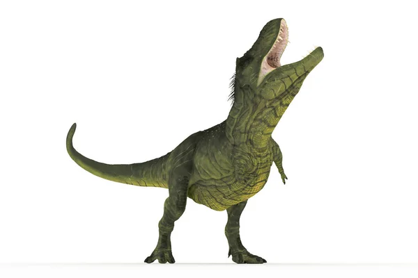 Большой Тираннозавр Набор Углов Иллюстрации — стоковое фото