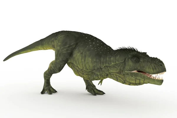 Μεγάλο Tyrannosaurus Σύνολο Γωνίες Απεικόνιση — Φωτογραφία Αρχείου