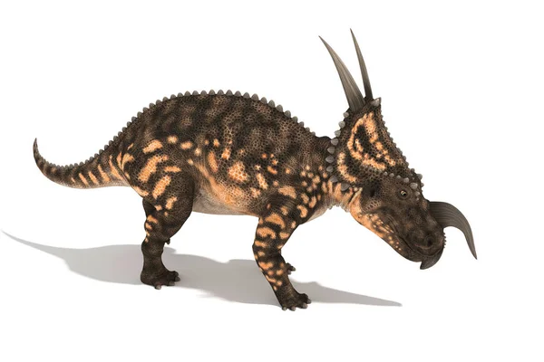 Bela Série Einiosaurus Ângulos Ilustração — Fotografia de Stock