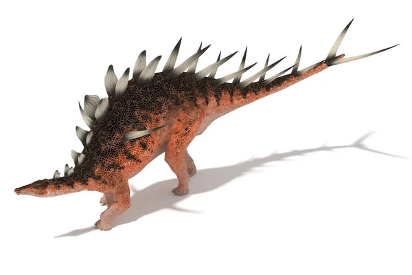 Centrosaurus は白い背景の 図の角度の設定 — ストック写真