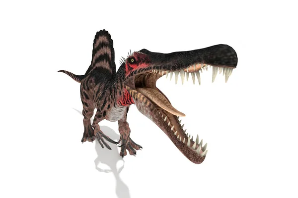 Spinosaurus Conjunto Ângulos Fundo Branco Ilustração — Fotografia de Stock