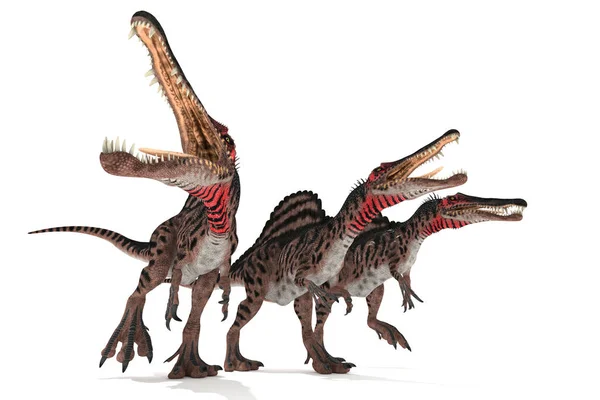 Csoport Spinosaurus Fehér Háttér Illusztráció — Stock Fotó