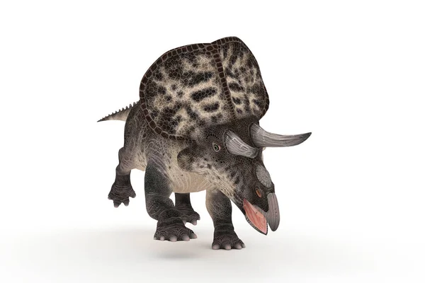 Bela Série Zuniceratops Ângulos Ilustração — Fotografia de Stock