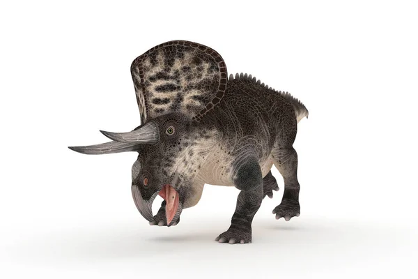 Schöne Zuniceratops Reihe Von Winkeln Illustration — Stockfoto