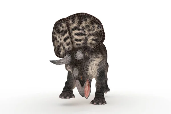 美丽的 Zuniceratops 系列角度3D — 图库照片