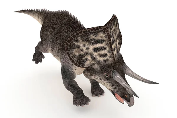 Schöne Zuniceratops Reihe Von Winkeln Illustration — Stockfoto