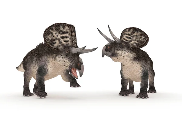 Groep Zuniceratops Witte Achtergrond Illustratie — Stockfoto