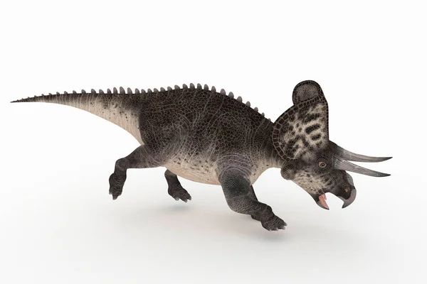 일러스트 Zuniceratops 시리즈 — 스톡 사진