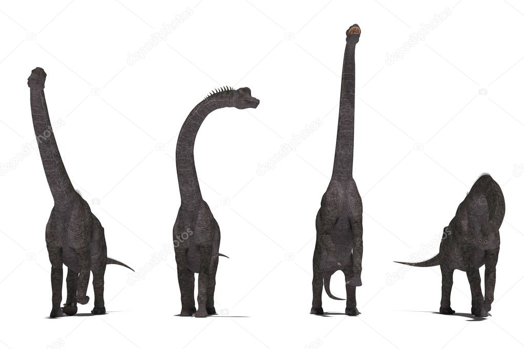 group of dark brachiosaurs set of angles 3D illustration