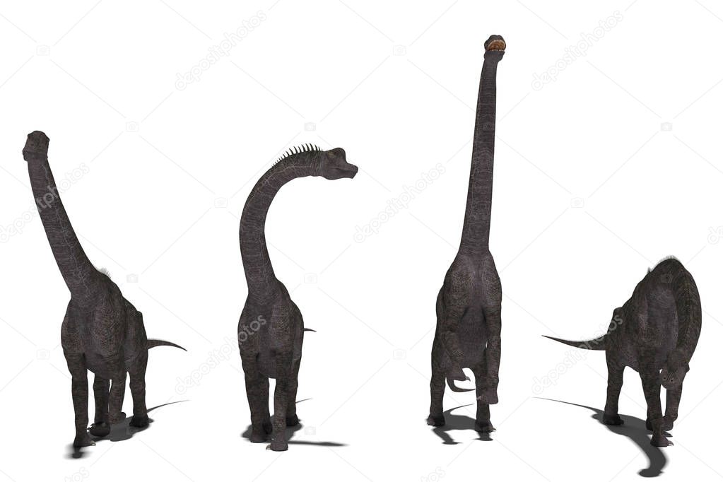 group of dark brachiosaurs set of angles 3D illustration