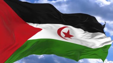 bayrak mavi gökyüzü Batı Sahra karşı rüzgarda sallayarak