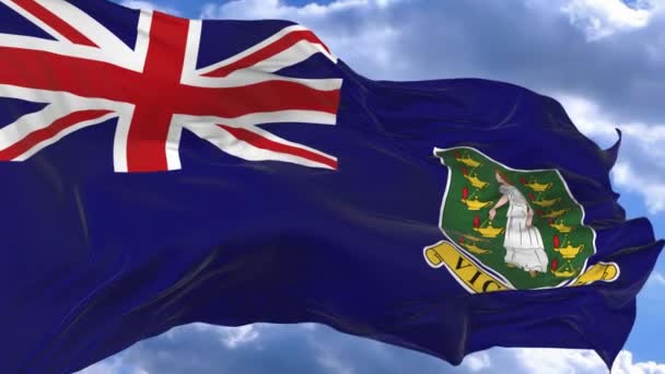 Flag Waving Wind Blue Sky Virgin Islands — Stock Video