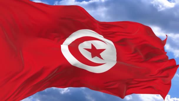 Флаг Размахивающий Ветром Против Голубого Неба Туниса — стоковое видео