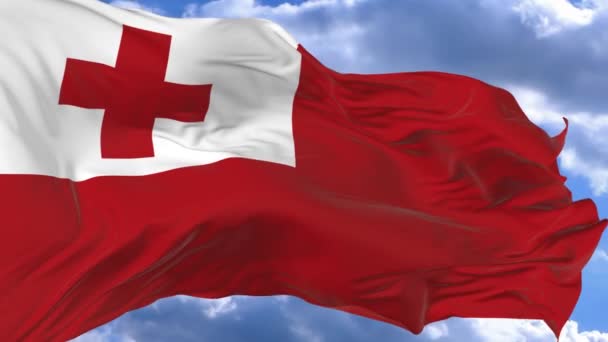 Flaga Macha Wietrze Przeciw Błękitne Niebo Tonga — Wideo stockowe