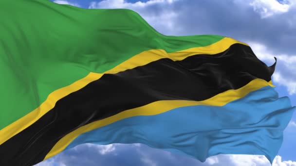 Flag Waving Wind Blue Sky Tanzania — Stock Video