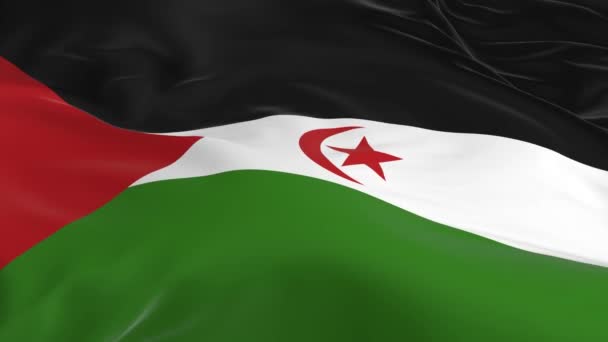 agitant dans le vent un drapeau en boucle comme fond Sahara Occidental 