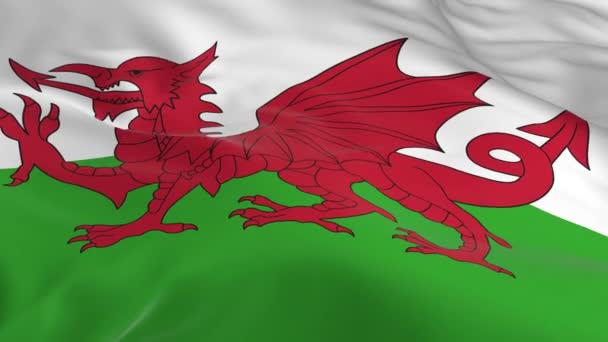 Vajande Vinden Loopas Flagga Som Bakgrund Wales — Stockvideo