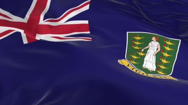 Waving Wind Looped Flag Background Virgin Islands Royalty Free Stock Footage