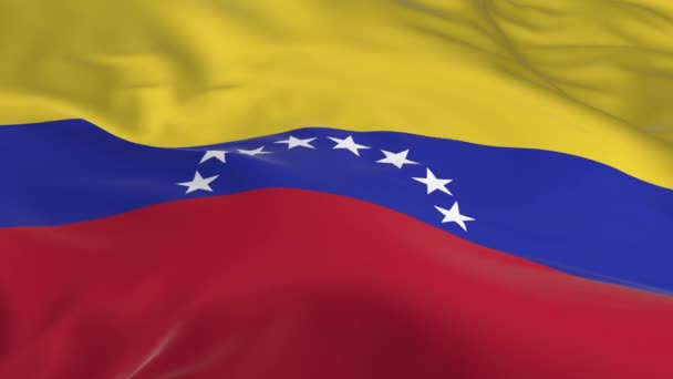 Sventolando Nel Vento Sventolato Bandiera Come Sfondo Venezuela — Video Stock