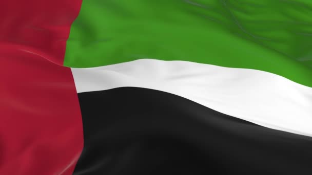 Integetett Szél Végtelenített Zászló Háttérben Egyesült Arab Emírségek — Stock videók