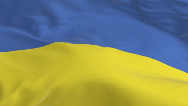 Waving Wind Looped Flag Background Ukraine — Stock Video