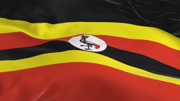 Vlag Zwaaien Wind Lus Als Achtergrond Oeganda — Stockvideo