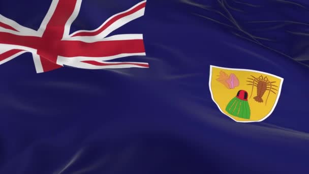 Macha Wietrze Zapętlony Flaga Tle Turks Caicos — Wideo stockowe