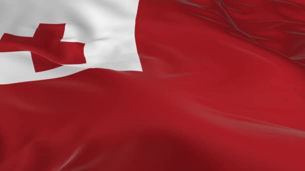 Ondeando Viento Ondeó Bandera Como Fondo Tonga — Vídeo de stock