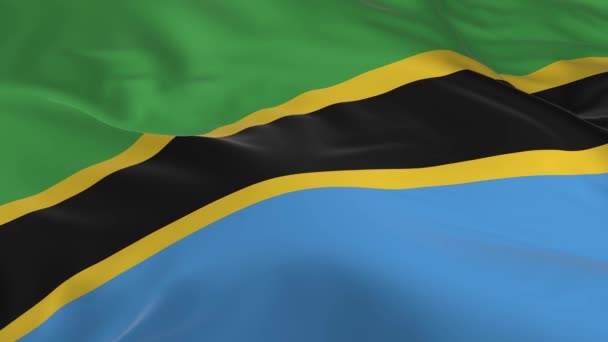 Macha Wietrze Zapętlony Flaga Tle Tanzania — Wideo stockowe