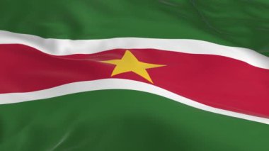 rüzgarda sallayarak bayrak Surinam arka plan olarak ilmekledi