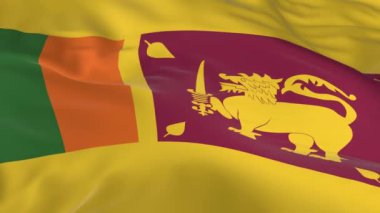 rüzgarda sallayarak bayrak ilmekledi bir arka plan olarak Sri Lanka