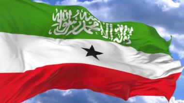 bayrak mavi gökyüzü Somaliland karşı rüzgarda sallayarak