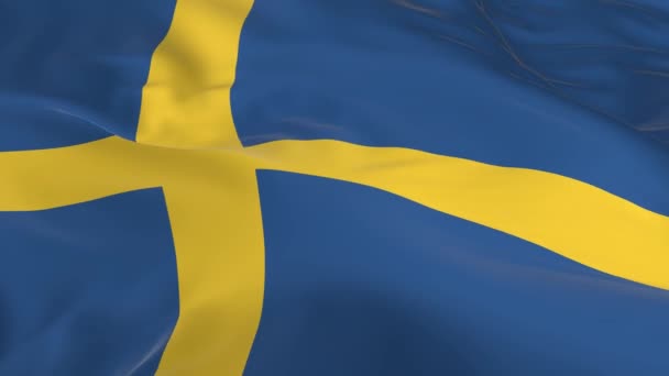 Heiluttaen Tuulisilmukan Lippua Taustana Ruotsi — kuvapankkivideo