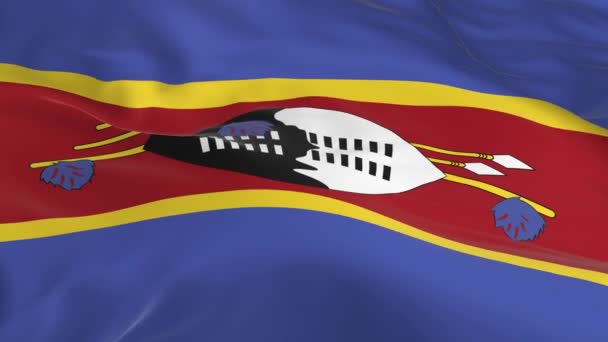 Waving Wind Looped Flag Background Swaziland — Stock Video