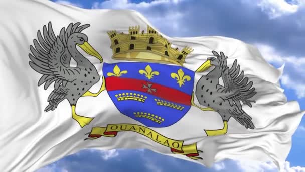 Drapeau Agitant Dans Vent Contre Ciel Bleu Saint Barthélemy — Video