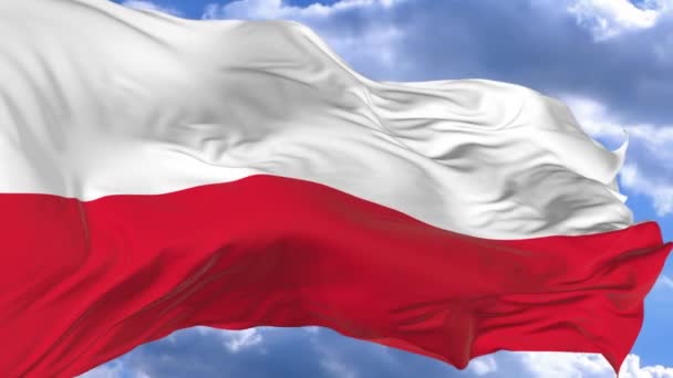 Flag Waving Wind Blue Sky Poland — Stock Video