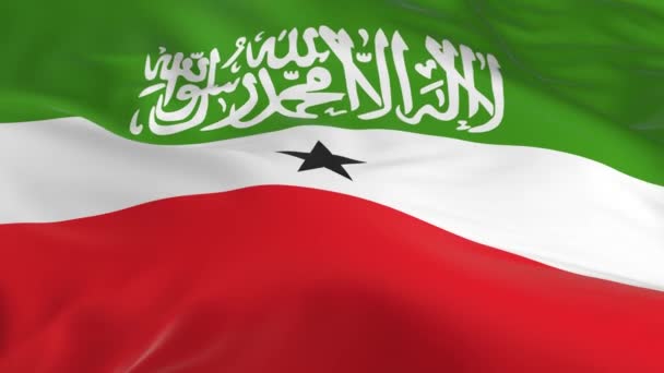 Vajande Vinden Loopas Flagga Som Bakgrund Somaliland — Stockvideo