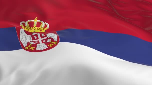 Размахивая Ветру Зацикленным Флагом Фоне Сербии — стоковое видео