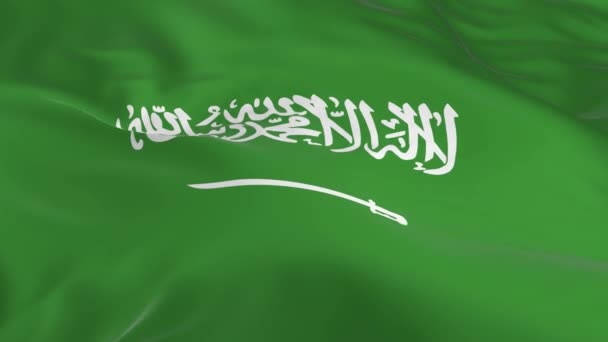 Sventolando Nel Vento Bandiera Loop Come Sfondo Arabia Saudita — Video Stock