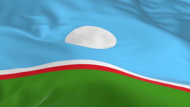 挥舞着在风中的旗帜作为背景萨哈共和国 — 图库视频影像