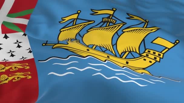 Vajande Vinden Loopas Flagga Som Bakgrund Saint Pierre Och Miquelon — Stockvideo