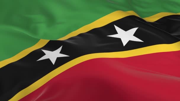 Waving Wind Looped Flag Background Saint Kitts Nevis — Stock Video