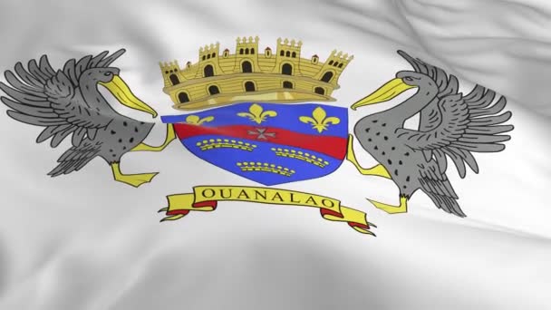 Agitant Dans Vent Drapeau Boucle Comme Fond Saint Barthélemy — Video