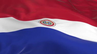 rüzgarda sallayarak bayrak Paraguay arka plan olarak ilmekledi