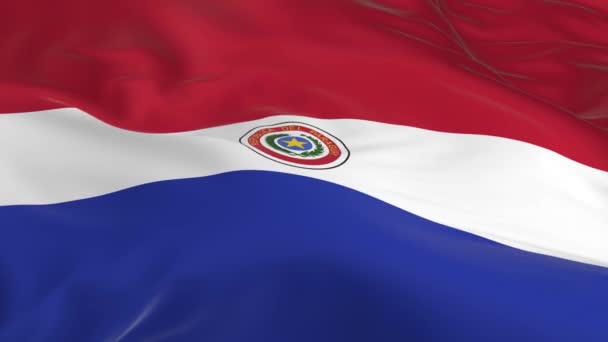 Розмахуючи Вітрі Петельні Прапор Фон Парагваю — стокове відео